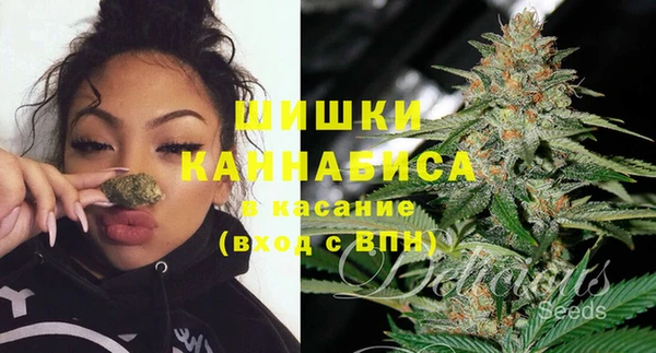 дживик Балахна